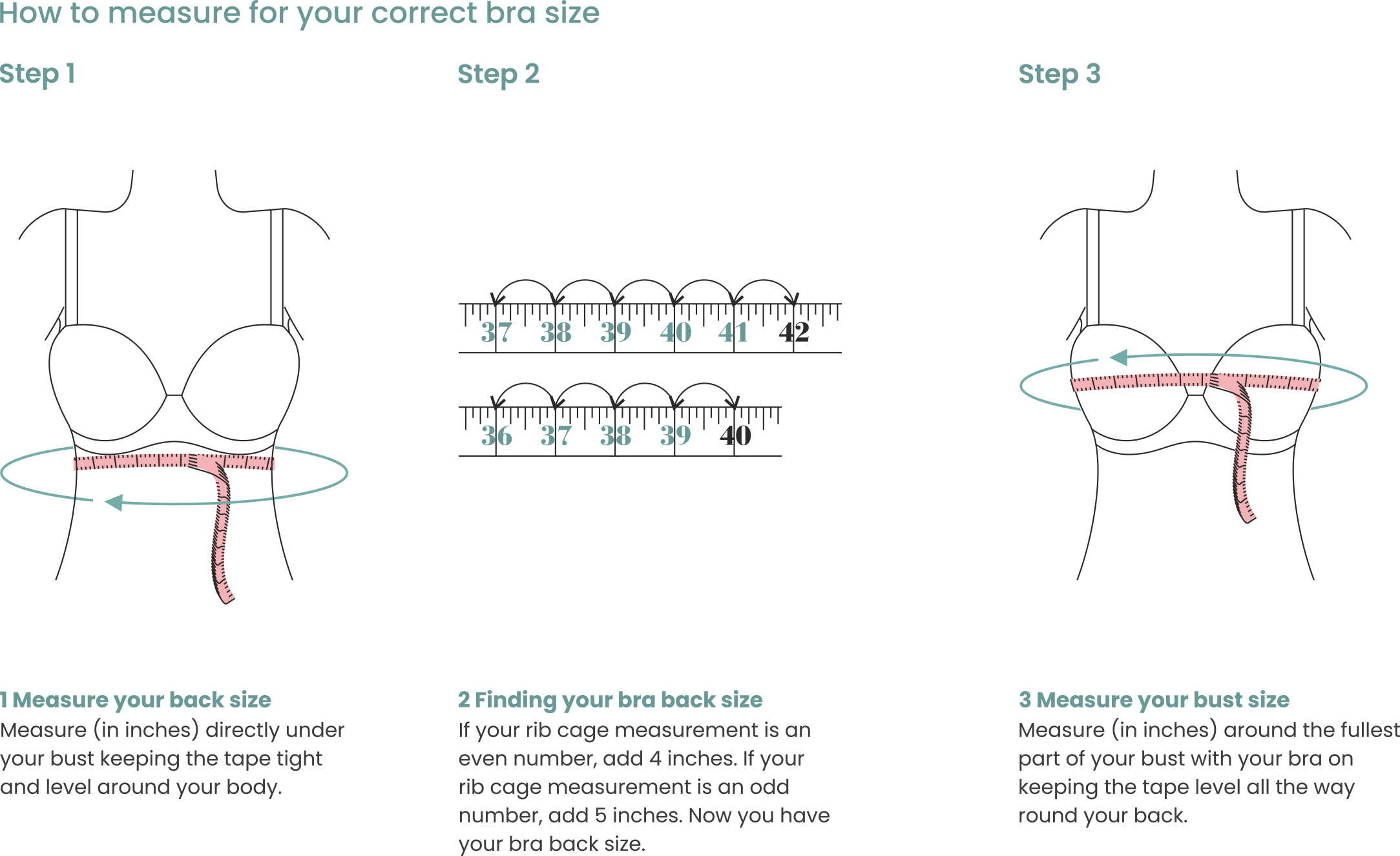 The Graduation of a Cup  Bra hacks, Bra size charts, Bra fitting guide