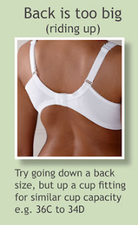 What damage can a poorly fitting bra cause? - Page 16 of 17