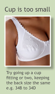 Are You Wearing the Correct Bra Size?
