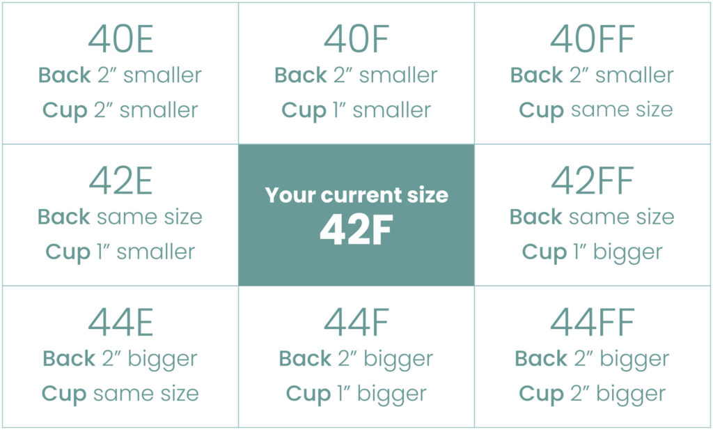 Sister Size Bra  Know Your Sister Size With Chart
