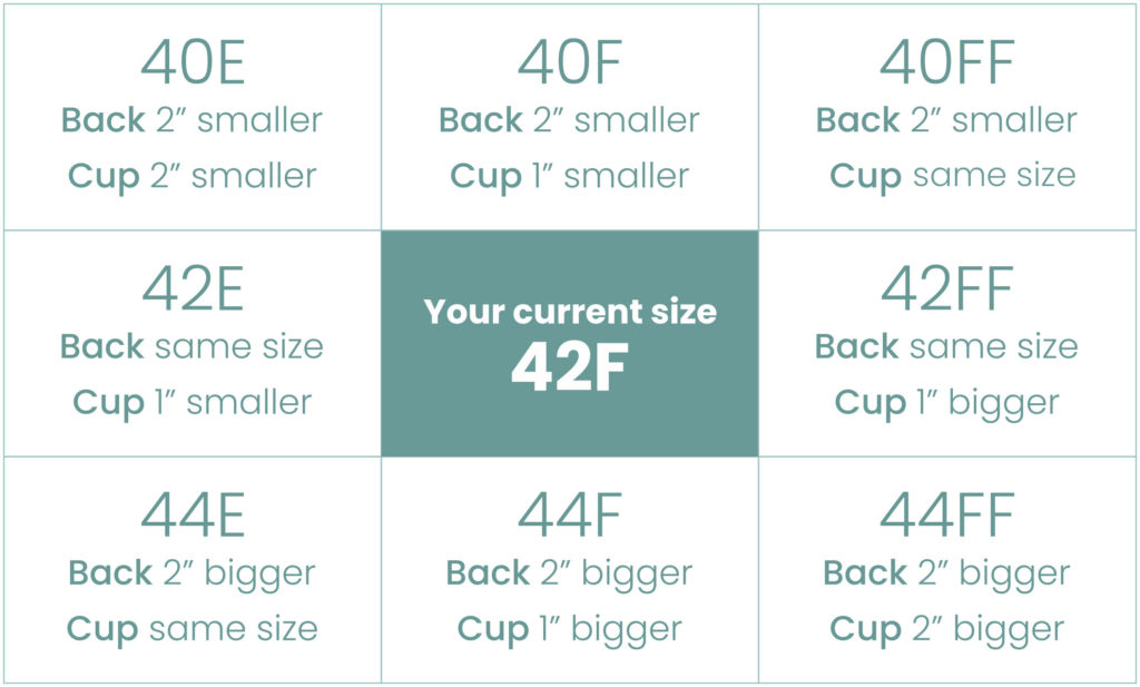 Bra Cup Sizes, Bra Cup Size Chart