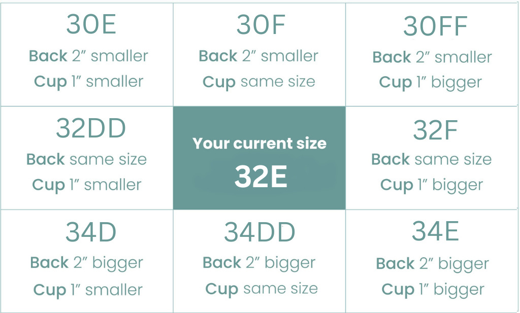 Next cup size up from ddd online