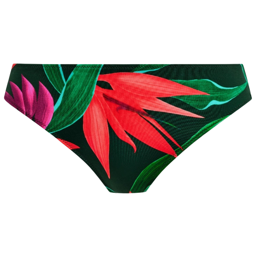 Fantasie Swim Pichola Bikini Briefs in mangrove FS503972