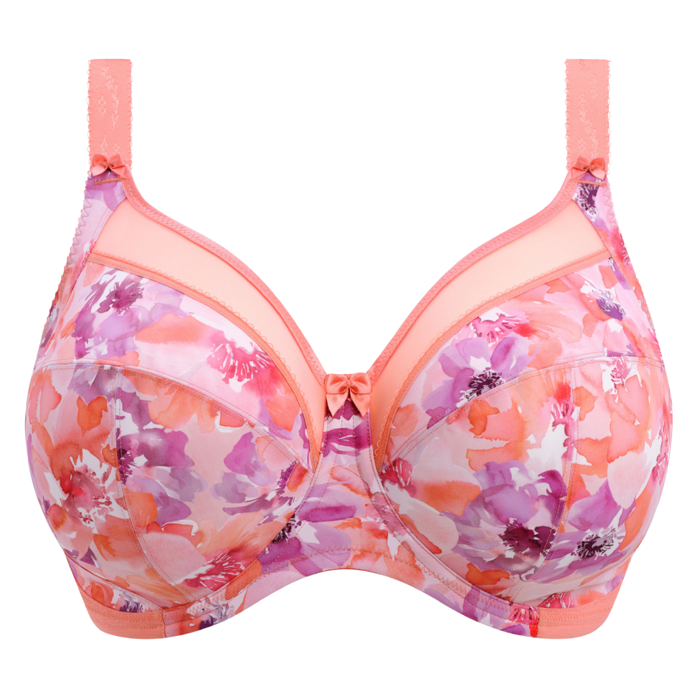 CORAL PETAL,Goddess,Kayla,2026,bra,GD6162
