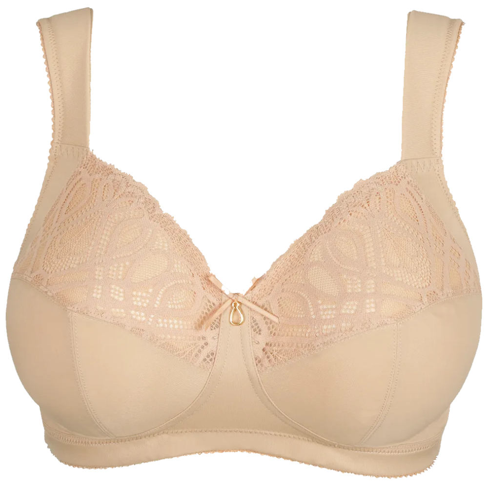 CANDY GINGER,PrimaDonna,Salerno,2026,bra,0163537