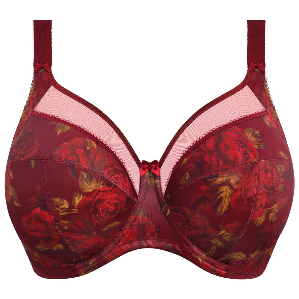 Goddess Kayla bra product in cassis GD6162- cutout image