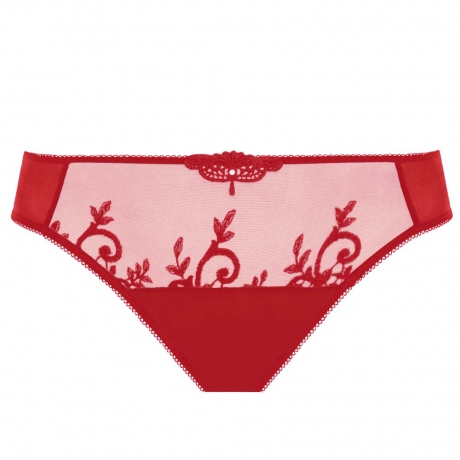 Apolline Brief