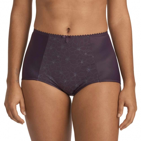 Gracious Shaping High Waisted Briefs