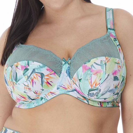 Mariella Underwired Banded Stretch Bra