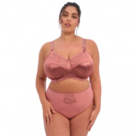 Elomi Cate Soft Cup Bra and Briefs in rosewood EL4033 and EL4036
