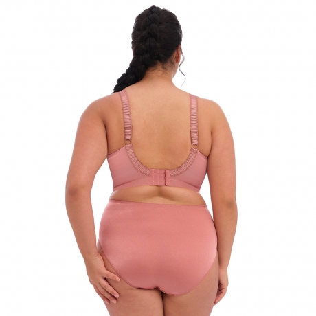 Backview of Elomi Cate Soft Cup Bra and Briefs in rosewood EL4033 and EL4036