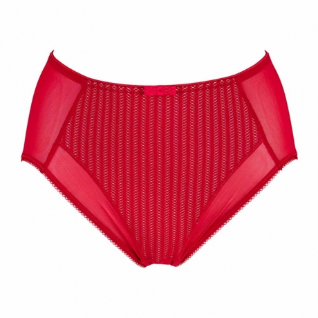 Red Briefs and Ladies Knickers