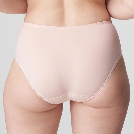 Backview of PrimaDonna Orlando Briefs in pearly pink 0563151