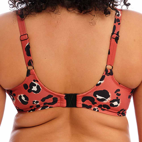 Backview of Elomi Swim Kotiya Bikini Top in Terracotta ES800902