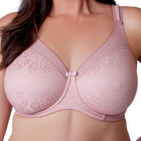 Cotton Non-Padded Estelle T-Shirt Bra, Size: 30-40 inch, for Daily