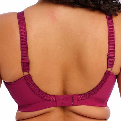 Backview of Elomi Cate Soft Cup Bra in Berry EL4033