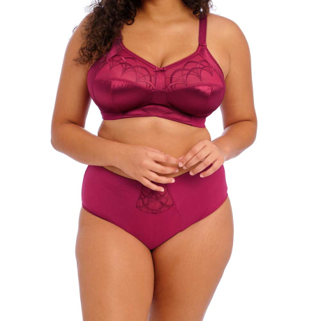 Elomi Cate Soft Cup Bra and Briefs in Berry EL4033 and EL4036
