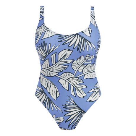Freya Swim Mali Beach Swimsuit in cornflower AS205142