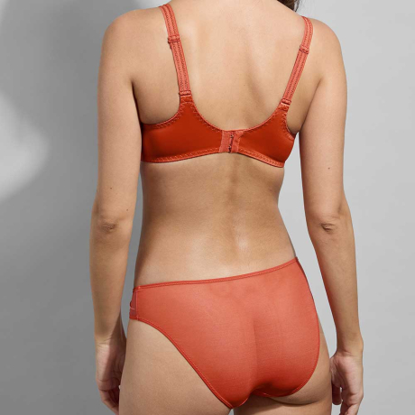 Backview of Empreinte Paola Bra and Briefs in terracotta 07226 and 03226