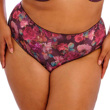 Goddess Kayla Briefs in Plum Rose GD6168