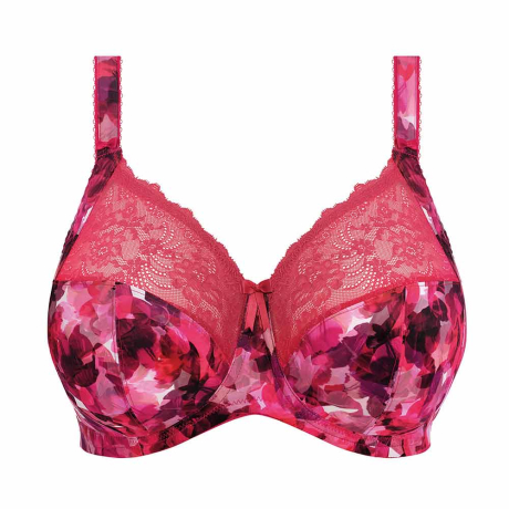 Elomi Morgan Bra in Berry Crush EL4110