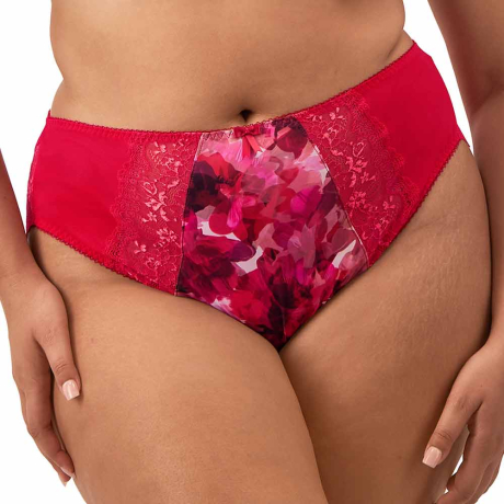 Elomi Morgan Briefs in Berry Crush EL4118