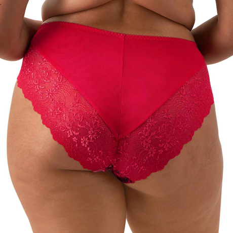 Backview of Elomi Morgan Briefs in Berry Crush EL4118