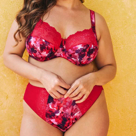 Elomi Morgan Bra and Briefs in Berry Crush EL4110 and EL4118