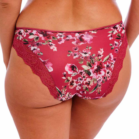 Backview of Fantasie Lucia Briefs in cherry FL101550