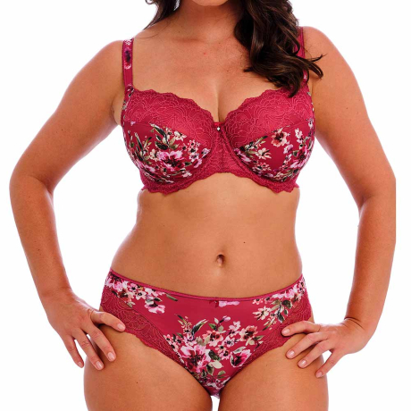 Fantasie Lucia Bra and Briefs in cherry FL101501 and FL101550