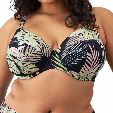 Elomi Swim Tropical Retreat Bikini Top In Black ES801902