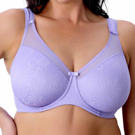 Berlei Beauty Stripe Bra In Violet Tulip B521
