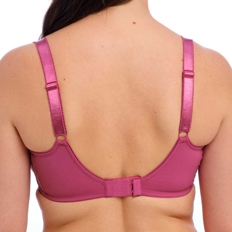 Backview of Fantasie Envisage Bra In Passion FL6911