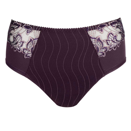 Deauville Full Coverage Briefs