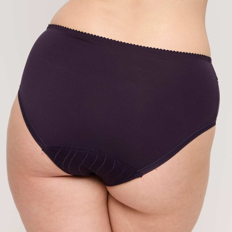 Backview of PrimaDonna Deauville Briefs in Amethyst Gem 0561816

