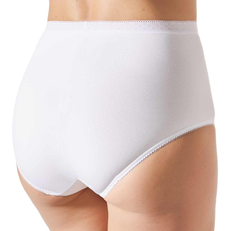 Backview of Janira Essential Briefs In White 1031183 and 1031643