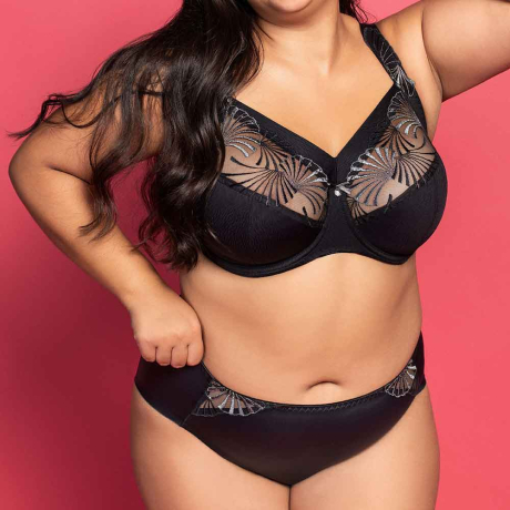 Ulla Dessous Emily Bra and Briefs in Black 2225 and 2232
