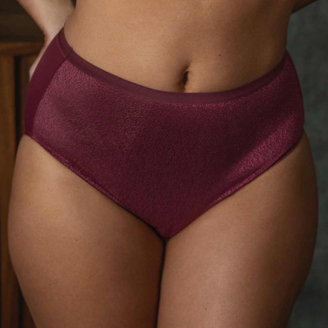 Fantasie Demure Briefs In Fig FL103251
