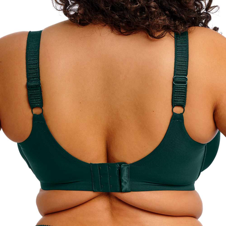 Backview of Elomi Cate Allure Bra in Deep Emerald EL302405
