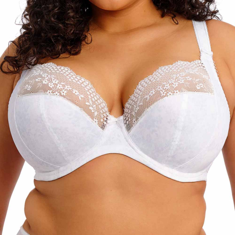 Elomi Lucie Bra in White EL4490
