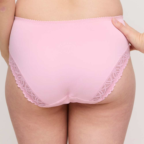 Backview of PrimaDonna Salerno Briefs In Spring Rose 0563531
