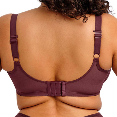 Backview of Elomi Matilda Bra in Sugarplum EL8900
