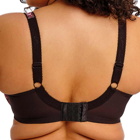 Backview of Elomi Morgan Bra in Dark Romance EL4110
