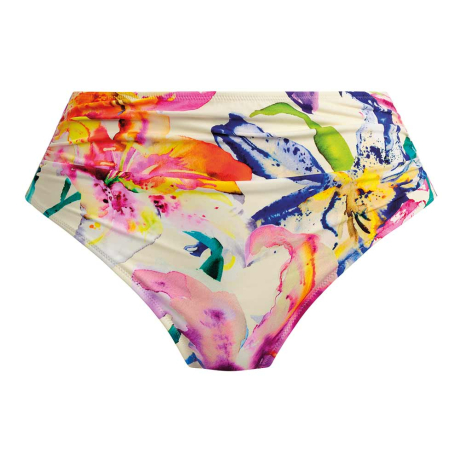 Iguazu Falls Full Bikini Briefs