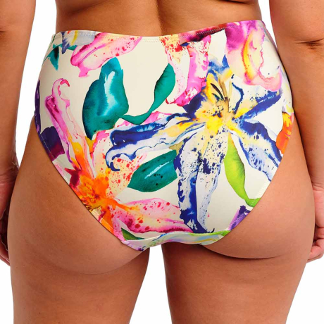 Backview of Fantasie Swim Iguazu Falls Bikini Briefs In Multi FS506371
