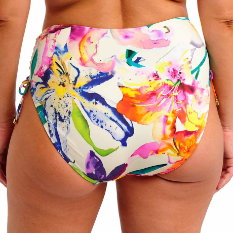 Backview of Fantasie Swim Iguazu Falls Bikini Briefs In Multi FS506378
