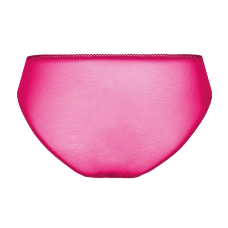 Backview of Empreinte Tess Briefs in Rose Samba 03228
