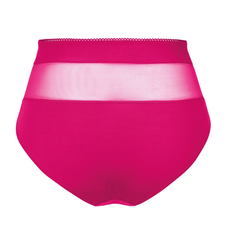 Backview of Empreinte Tess Briefs in Rose Samba 05228
