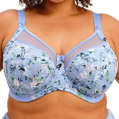 Goddess Kayla Bra in Cornflower