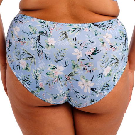 Goddess Kayla Briefs in Cornflower